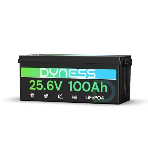 Dyness Batería Litio 24V 100Ah LiFePO4 con BMS 100A y Protección contra Bajas Temperatura, 24V Bateria LiFePO4 para Camper, Solar, Barcos de Pesca de Róbalo, Autocaravanas (RV), Fuera de la Red