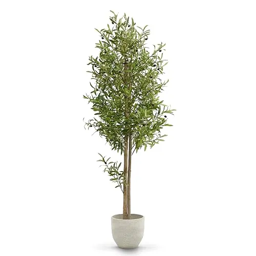 Maia Shop Olivo Artificial 180 cm - Arbol Mediterraneo Realista de Interior