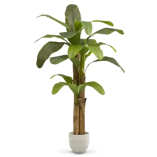 Maia Shop Platanera Artificial 180 cm - Planta Realista de Interior