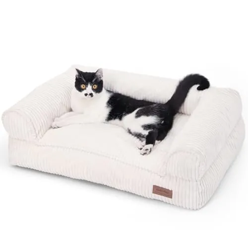 FUKUMARU Cama para Gatos, Sofá Cómodo de Terciopelo para Gatos de Interior con Funda Desmontable y Lavable, Cama para Perros Antideslizante y de Apoyo para Perros Pequeños, 72 x 52 x 22 cm, Cream