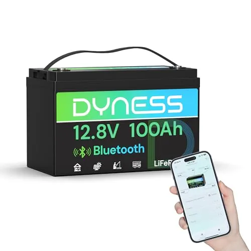 Dyness Batería LiFePO4 12V 100Ah Bluetooth, 12V Batería de Litio Hierro de Fosfato de Ciclo Profundo con 100A BMS, para Autocaravana, Marina, Campistas, Sistemas Solares