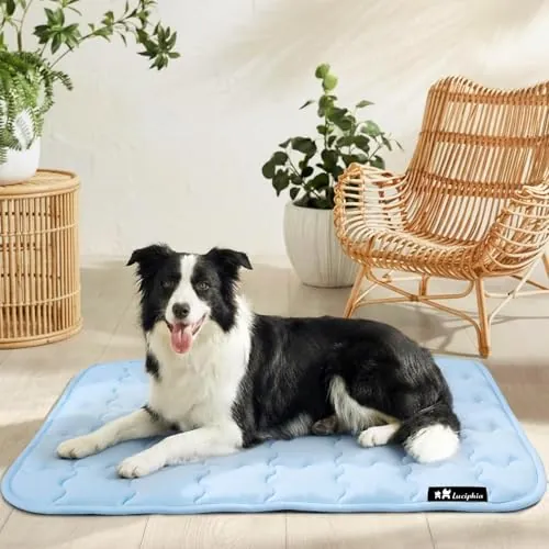 luciphia Alfombra refrescante para Perros y Gatos,Alfombrilla para Perros,cojín refrescante para el Verano,Cama Lavable para Perros,Manta refrescante Perros Grandes,medianos y pequeños Azul 51 * 77cm