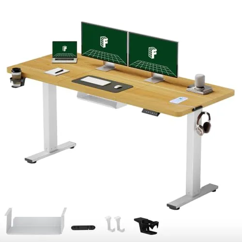 FLEXISPOT Escritorio Elevable Eléctrico 160x60, 100kg Carga, 4 Memorias | Mesa Elevable Altura Ajustable, organizador de cables, anticolisión con retroceso y 4 memorias, garantía de 5 años, Negro