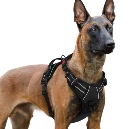 rabbitgoo Arnes Perro Grande con 3 Hebillas, Liberacion del Cuello, Arnes Perro Ajustable con Asa y Clip Frontal, Arnés Antitirones para Perros Reflectante para Adiestramiento Correr, Negro, XL
