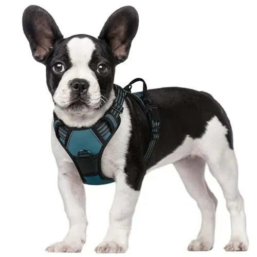 rabbitgoo Arnes Perros Grande Mediano Pequeño Arnés Pecho Antitirones Perros Coche con Lineas Reflectantes Cómodo Transpirable Chaleco Acolchado Ajustable para Adiesreamiento Tamaño S Verde Oscuro