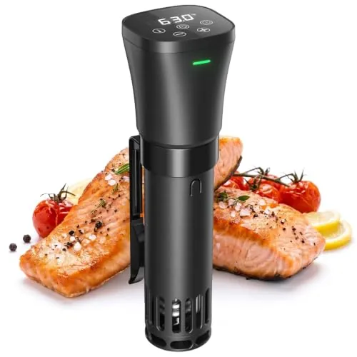 Sous Vide Roner Cocina Baja Temperatura 1000W con Inicio Programado