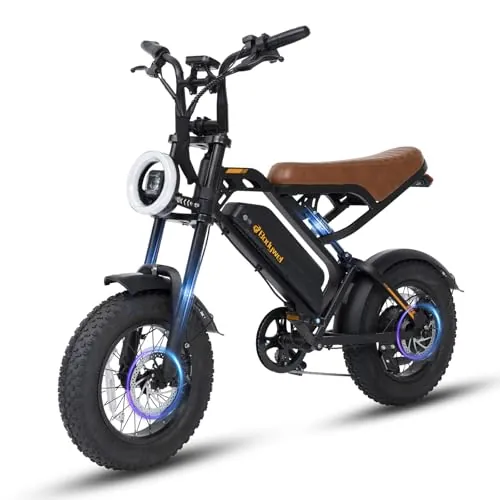 Bodywel M16 Bicicleta Eléctrica, 20x4.0” Fat Tire Todo Terreno Ebike, Batería 48V 13Ah, Motor 250W, 30-60 km Autonomía, Pantalla LCD, Luces Duales, Suspensión Completa (Negro)