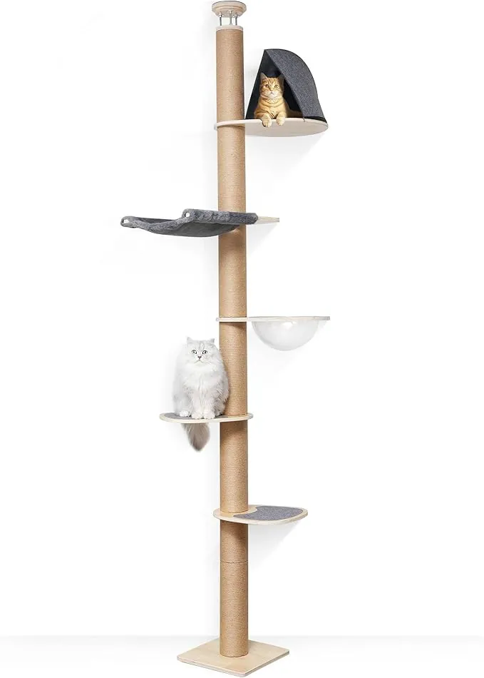 FUKUMARU Árbol rascador para Gatos, Torre de 6 Niveles hasta el Techo (280-300 cm), montado en la Pared, Hecho de Madera de Caucho Natural, con cápsula Espacial Transparente y cómoda Hamaca, Gris