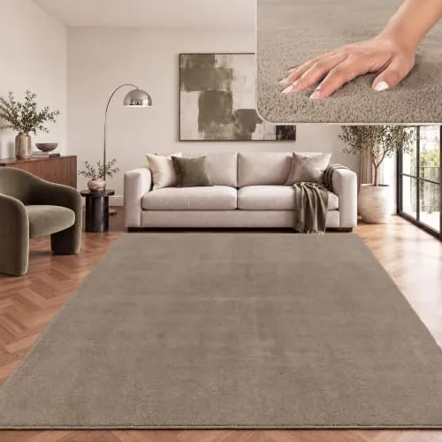 Paco Home Alfombra Moderna y Suave para Salón a Pelo Corto Lavable Fluffy Uni Efecto Piel Intemporal Elegante Antideslizante Fácil de Limpiar, tamaño:300x400 cm, Color:Taupe
