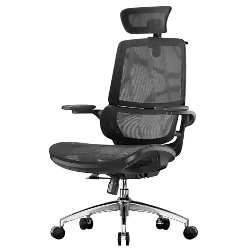 SIHOO M59AS Silla Oficina Ergonómica Respaldo Dual Soporte Lumbar Flexible