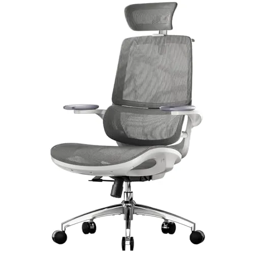 SIHOO M59AS Silla de Oficina Ergonómica con Reposabrazos 3D Plegables, Respaldo Doble y Soporte Lumbar Dinámico, Silla de Malla para Oficina en Casa(Gris)
