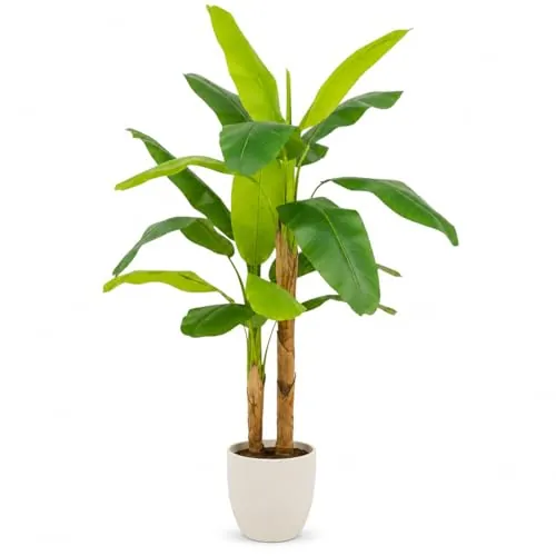 edihome, Planta Artificial Grande, Platanera 160 cm con Tronco Real y Natural – Decorativas, Árbol, Decoración para Interior, Oficina, Hogar, Hoteles y Eventos – Planta Realista (Platanera, 160)