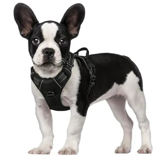 rabbitgoo Arnes Perro Pequeño con Lineas Reflecantes Arnés Perros Antitirones Coche Adiesreamiento Bicicleda Correr Chaleco Acolchado Ajustable, Negro