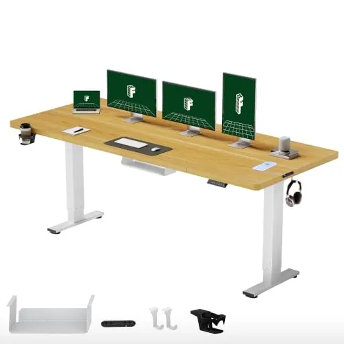 FLEXISPOT Escritorio Elevable Eléctrico 200x80, 100kg Carga, 4 Memorias | Mesa Elevable Altura Ajustable, organizador de cables, anticolisión con retroceso y 4 memorias, garantía de 5 años, Negro