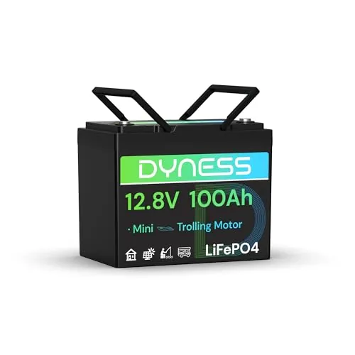Dyness Batería de Litio 12V 100Ah LiFePO4 Mini Recargable Batería con BMS de 100 A, Protección contra Bajas Temperaturas, Máx 15000 Ciclos, para Motores de Barco, Autocaravanas, Sistemas Solares