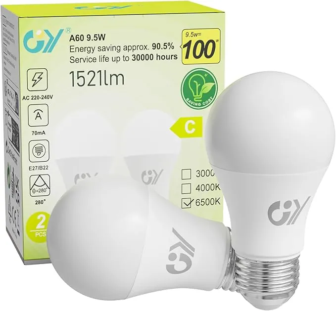 GY Bombillas Led E27 Luz Fría 6500K - 9,5W Equivalente a 100W - 1521 Lúmenes, No Regulable - A60 Bombilla Led Esférica Caja de 2 Unidad