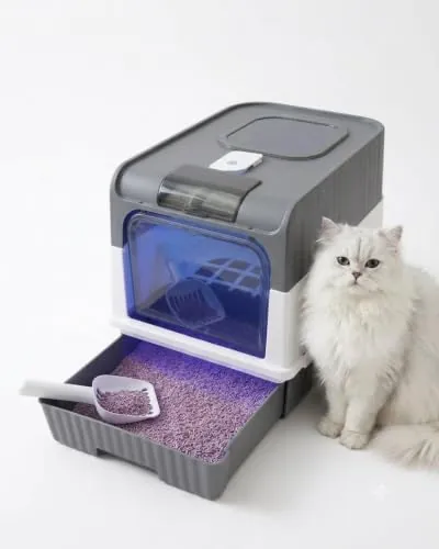 Arenero para Gatos Cubierto Cesta de Arena Plegable con Luz LED, Bandeja Extraíble Tipo Cajón y Pala Incluida – Caja de Arena Antiolores y Antisalpicaduras para Mascotas