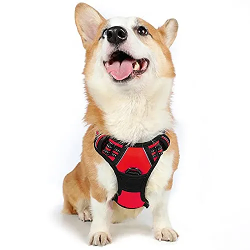 rabbitgoo Arnes Perro Mediano, Arnes Perro Antitirones Coche con Lineas Reflecantes, Chaleco Acolchado Ajustable Transpirable con Asa y Anillos para Adiesreamiento Correr Tamaño M Color Rojo