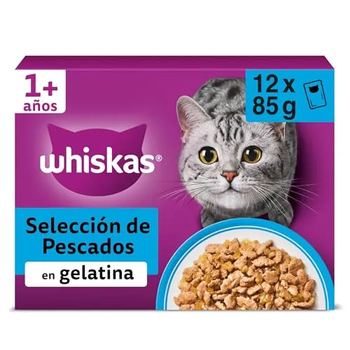 Whiskas Comida Húmeda para Gatos Adultos Selección Pescados en Gelatina (Multipack 4x12x85g)