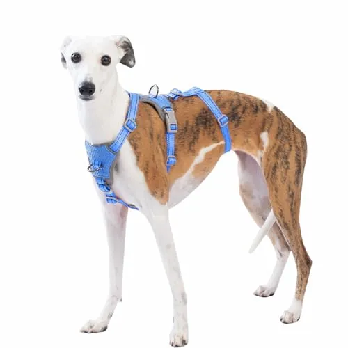 Huntboo Arnes Antiescape Perro Pequeño Mediano Grande, Arnés Antitirones para Perros, Reflectante, Duradero, Chaleco Ajustable y Transpirable para Paseos y Entrenamientos (Azul Marino,M)
