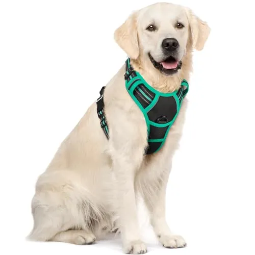 rabbitgoo Arnes Perro Grande, Arnes Perro Antitirones Coche con Lineas Reflecantes, Chaleco Perro Acolchado Ajustable Transpirable con Asa y Anillos para Adiesreamiento Tamaño XL, Negro y Menta Verde