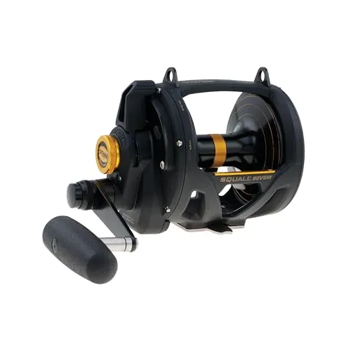 PENN 1292938 Squall Lever Drag - Carrete de Pesca de curricán de 2 velocidades, 890/50, Negro, IGFA50, SQL50VSW