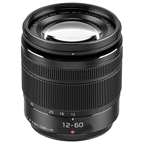 Panasonic LUMIX H-FS12060 - Objetivo Zoom estándar para cámaras de montura M4/3 (Focal 12-60 mm, F3.5-F5.6, tamaño filtro 58 mm, MEGA O.I.S), negro
