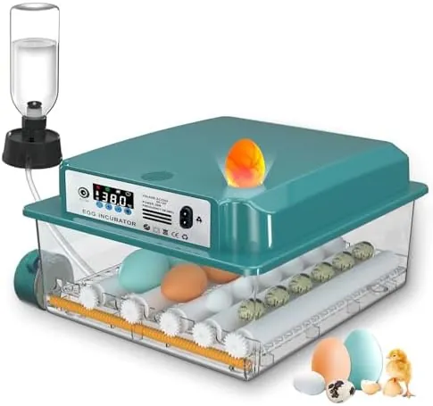 CoInceptus Incubadora Huevos Gallina, Incubadora de 12-16 Huevos con Volteo Automático de Huevos y Adición Automática de Agua, Incubadoras para Huevos de Gallina, Codorniz, Pato