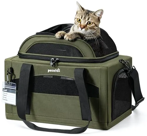 Pecute Transportin Gato Grande y Perro Avion Expandible - Verde